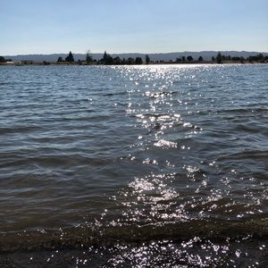 Meet your Posher, Tanner